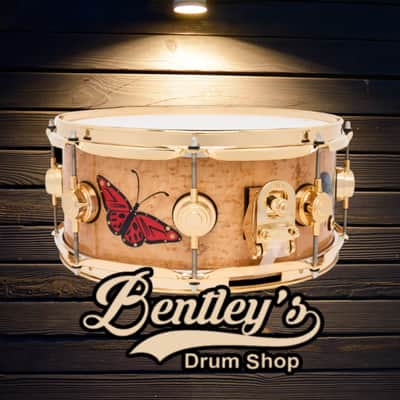 *LIMITED EDITION* DW Collector's Series Sheila E. ICON Signature 5.5x13 Pure Maple Snare Drum w/ Gold Hardware & Deluxe Case image 2