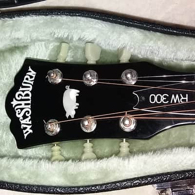 Washburn RW300 (Roger Waters) Custom Shop USA, Black image 2