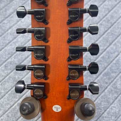 Fesley FDET280C 12 String SkunkWerx Stage Ready IN USA SETUP String Joy 2025 - Natural image 16