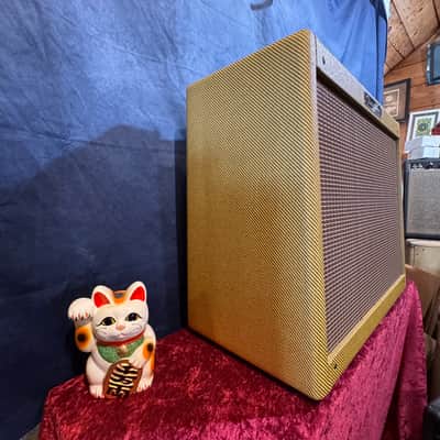 Tungsten Amplification - Buckwheat 112 Combo image 2