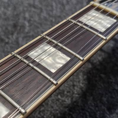 D'Angelico Premier Brighton with Softcase. image 7