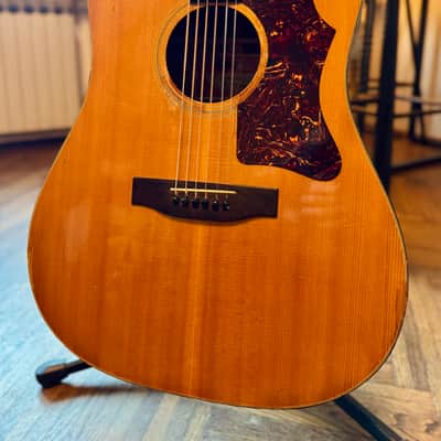 Gibson J-50 Deluxe 1973 - Natural image 2
