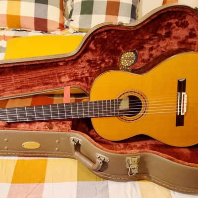 2020 Cordoba (Luthier Select Friederich) Classical Guitar image 13