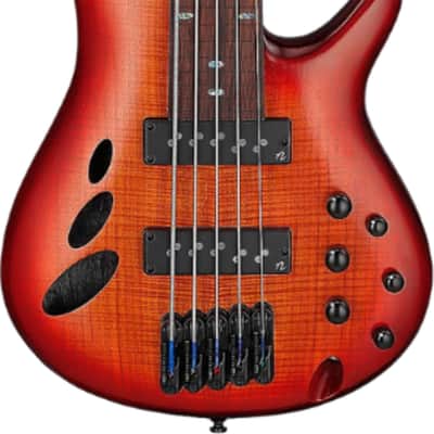 Ibanez SRD905 Fretless 5-String Exotic Maple Electric Bass Guitar, Panga Panga Fingerboard, Brown Topaz Burst image 2