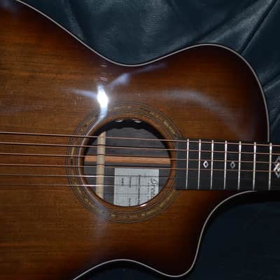 Breedlove Premier Concertina Edgeburst CE 2025 - Gloss Natural image 8