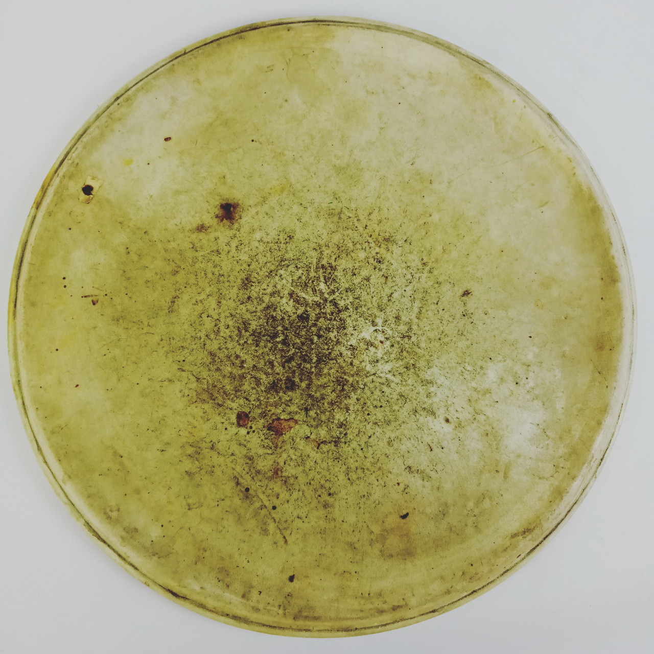 Gretsch/Rogers? 16" Floor Tom Drum Head Calf Skin Batter Vintage 40s-50s USA — main photograph