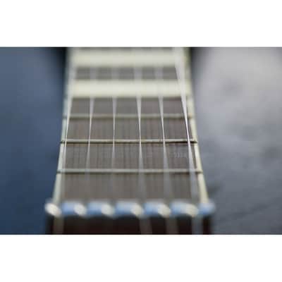 1950s Framus Electra Lapsteel Black Rose (sunburst) image 11