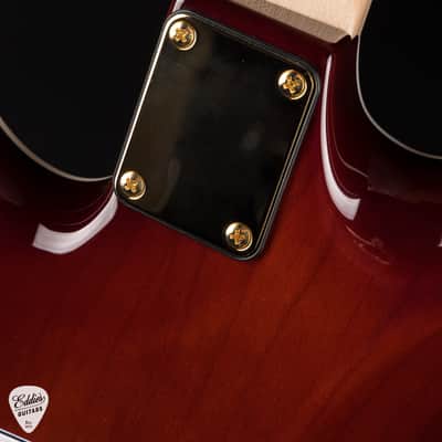 James Tyler Studio Elite HD-P Spalted Maple - Honey Burst image 12
