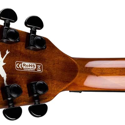 Dean Dimebag Dime Slime ML image 6