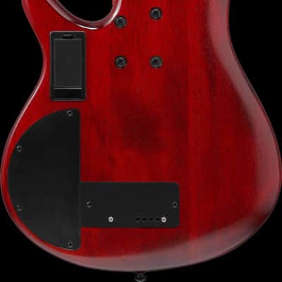Ibanez SR Bass Workshop 4 String Electric Bass - Fretless - Brown Topaz Burst Low Gloss (SRD900FBTL) image 7
