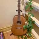Seagull Coastline S6 Folk Cedar 2000s - Natural