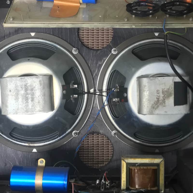 1972 Eminence 10 Alnico Silver