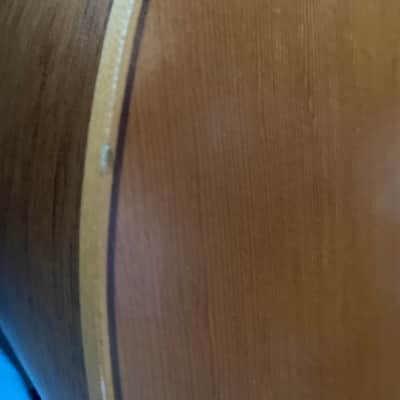 acoustic guitar (no name) image 15
