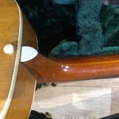 1951-1956 Epiphone Century archtop guitar, P 90 pick up, image 8