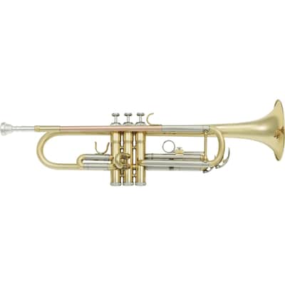 SML Paris VSM TP300 Tromba Sib Bild 4