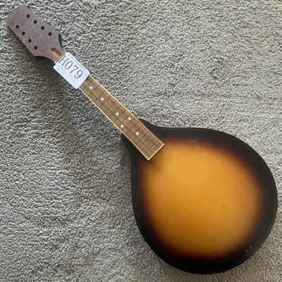 Sunburst 8 String Mandolin Project, Spruce Top, Mahogany Body, Rosewood Fingerboard image 1