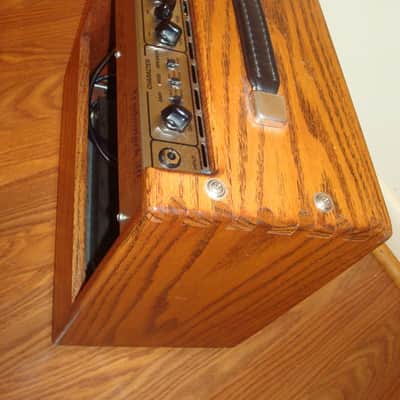 Tech 21 Trademark 30 LE Limited Edition Amp (stained solid oak cabinet) image 7