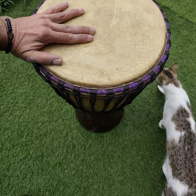 Djembé Profesional Madera Maciza Alta Densidad - 10kg - Sonido Profundo Bild 3