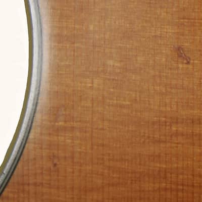 Parkwood PW320M Folk Size Acoustic/Electric Guitar w/ Gig Bag – Used - Natural Satin Finish image 14