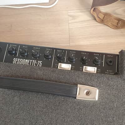 Award Session Sessionette 75 1x12 Combo Amplifier - Retrotone'd, EV12L Speaker image 3