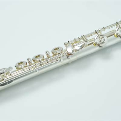 Muramatsu Handmade Flute EXⅢ-RCE C foot, Open hole, E mechanism image 14