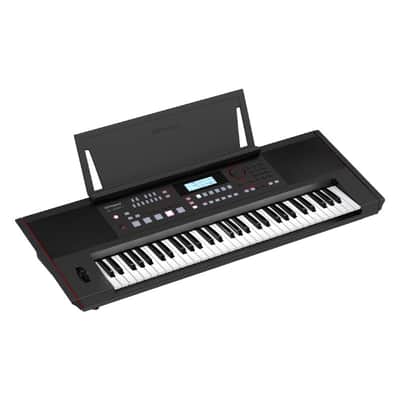 Roland E-X50 Arranger Keyboard image 2
