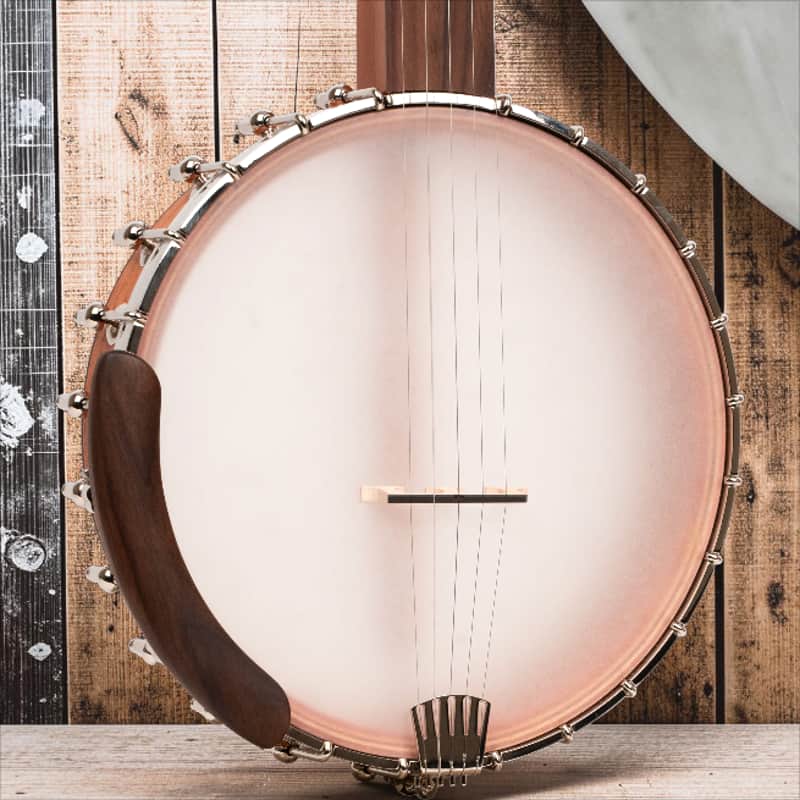 Gold Tone HM-25 High Moon Openback 11" Banjo with Padded Bag image 1