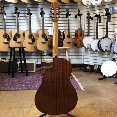 Cordoba Fusion 12 Canadian Cedar/Mahogany Nylon String Acoustic-Electric Guitar image 6