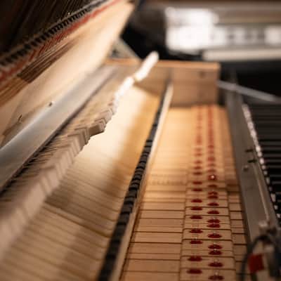 Fender Rhodes 1979 Mark I - Fully Restored/Custom Built image 13