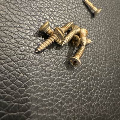 Fender Pickgaurd Screws 1965 8 screws image 1