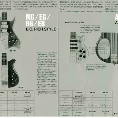 Fernandes FAB & FAG 1980s W-form image 16