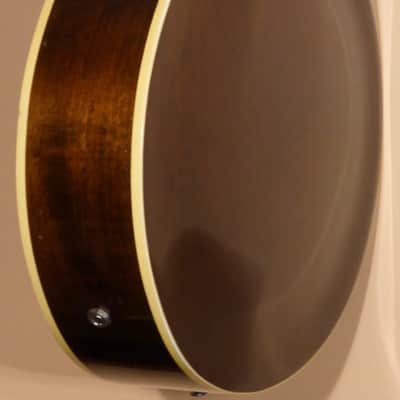 1966 Epiphone Sorrento e452 image 5
