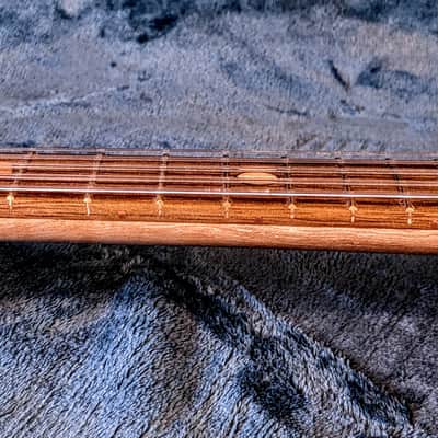Raysrootworks 10 string shell back tenor ukulele. image 15