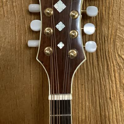 2025 Cross F-Style Mandolin, #116 (w/ HSC) image 5