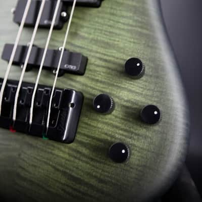 Spector Euro 4 LX - Haunted Moss Matte image 8