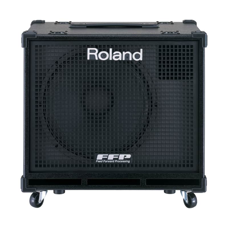 Roland D-BASS 115X 330-Watt 1x15" Active Bass Speaker Cabinet image 1