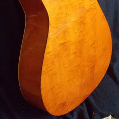 Hofner 517 model. 1959 image 2