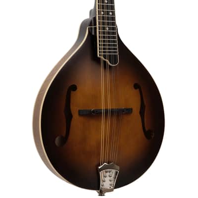 Gold Tone GM-55A A-Style Mandolin with Pickup image 2