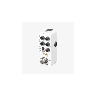 MOOER TONE CAPTURE GTR image 2