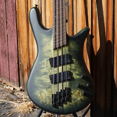 Spector NS Dimension 4 Multi Scale w/ Gig Bag - Haunted Moss Matte 4-String Bass image 2