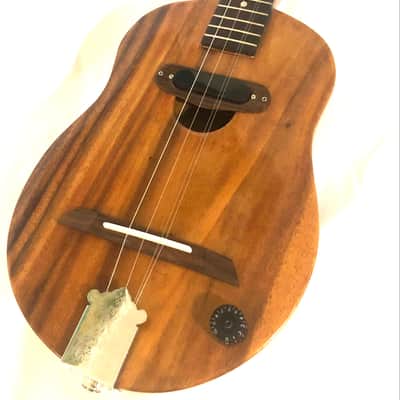Acoustic/electric dulcimer guitars image 9