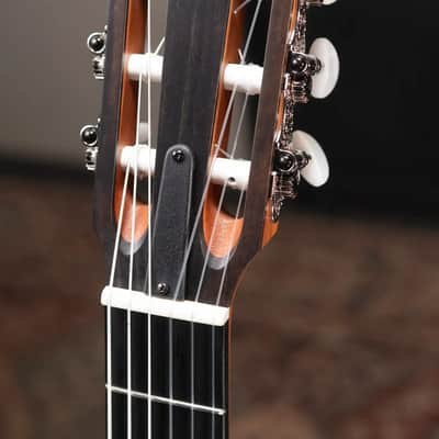 Taylor 214ce-N Nylon Grand Auditorium Acoustic/Electric Guitar with Gig Bag image 6