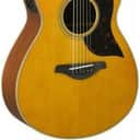Yamaha AC1M Concert Cutaway Acoustic-Electric Guitar - Vintage Natural
