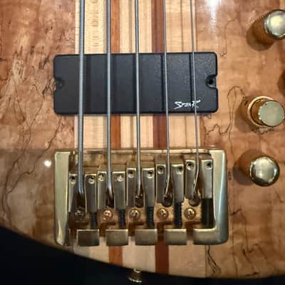 Spear S1-SP 5 string, 2005-2008, RARE! image 3