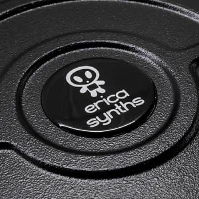 Erica Synths Carbon Fiber Travel Case 2 Powered 2x104HP Synth Module Enclosure Case (UK plug) image 4