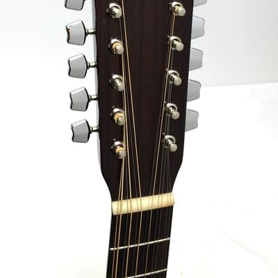 Recording King RD-06-12 12-String Dreadnought Acoustic Guitar