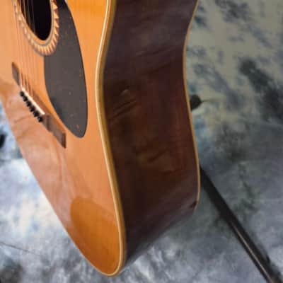 Vintage 1981 Japan Hand Made Alvarez Model 5017 Dreadnought Solid Spruce Top X-Braced New Strings Pro Setup Newer Gigbag image 8