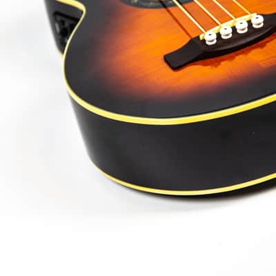 Fender T-Bucket Acoustic Bass E Owned by Matt Freeman Of Rancid image 10