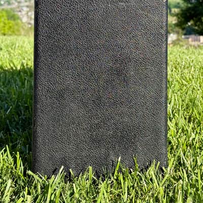 Fender Princeton Reverb 12-Watt 1x10" Guitar Combo 1964 - 1967 - Black Panel image 13