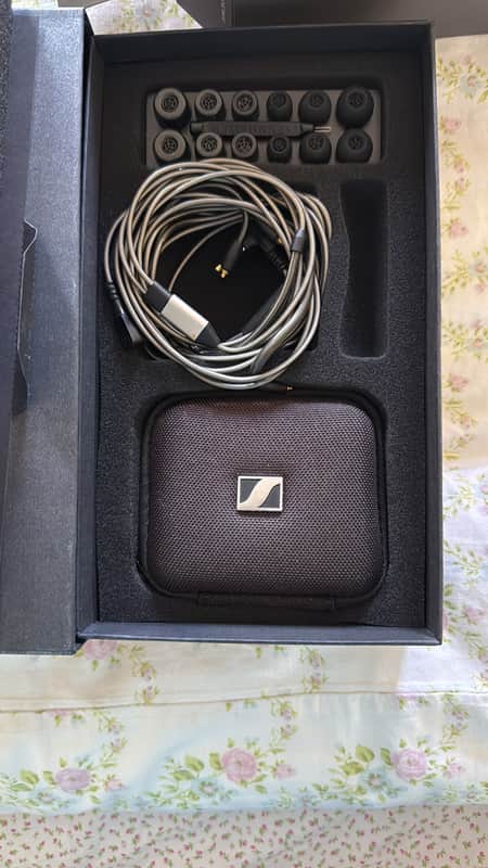 Sennheiser IE 600 In-Ear Headphones image 1